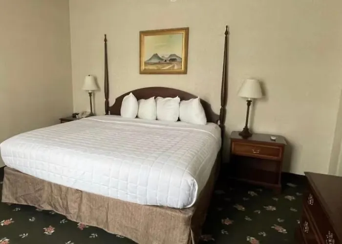 Eureka Hotels