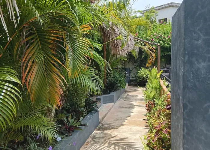 Hotéis de Las Galeras
