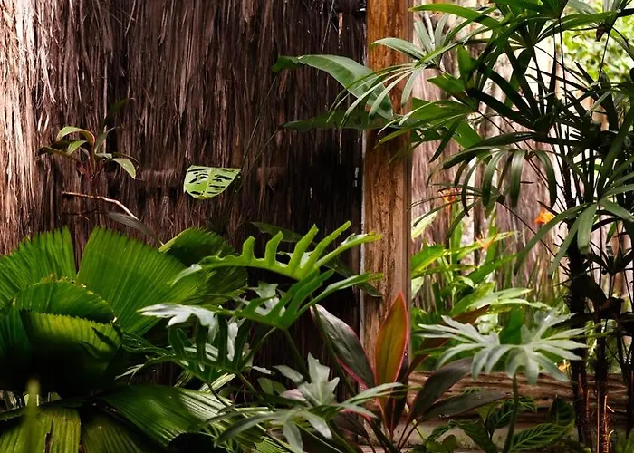 Hotéis de Trancoso