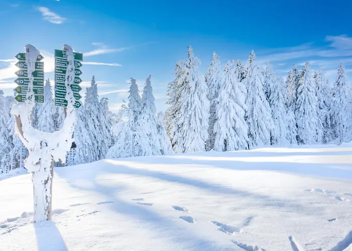 Chalet Sonnenhang Oberhof