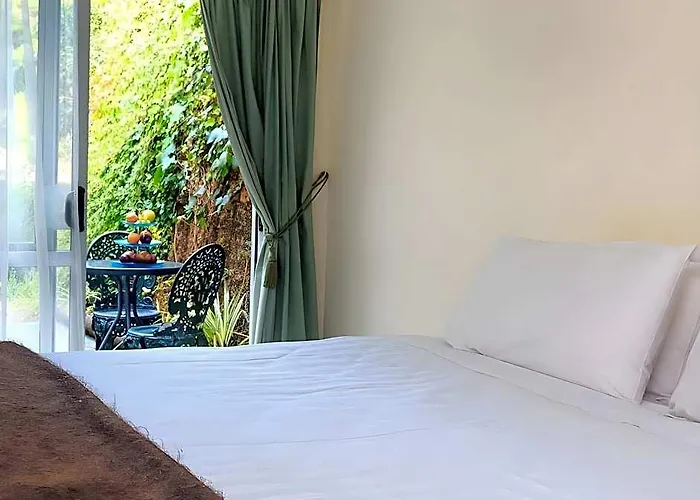 Marlin House Bnb
