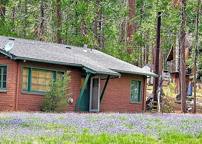 Hotéis de Yosemite National Park