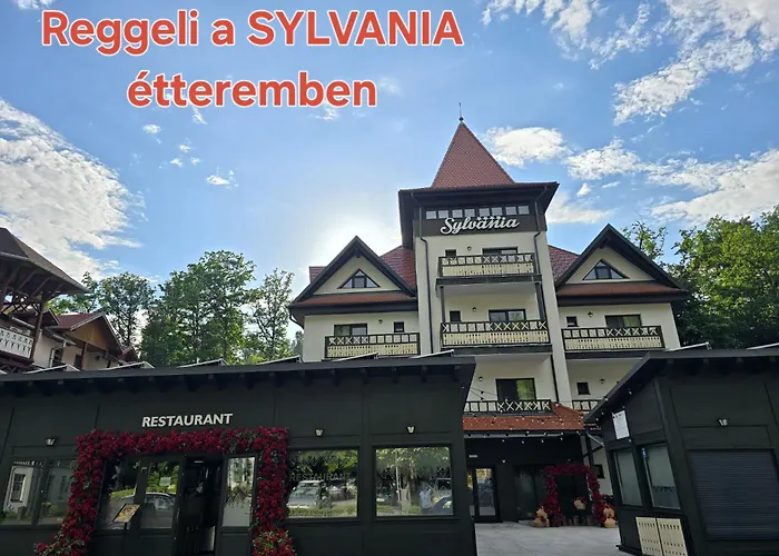 Vila Bernady Sovata