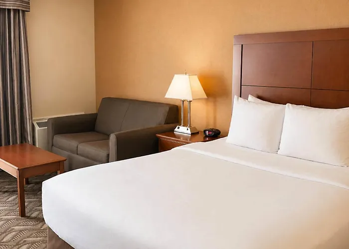 Comfort Inn & Suites Ambassador Bridge