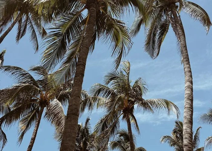 Hotels in La Libertad