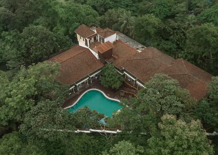 Calangute Beach hotels