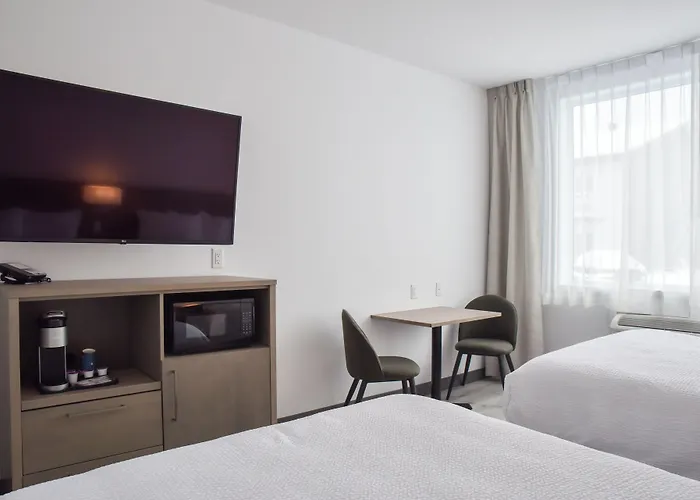 Repotel Levis