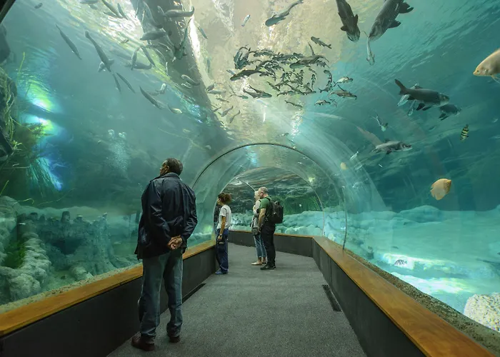 Las Palmas de Gran Canaria Hotels