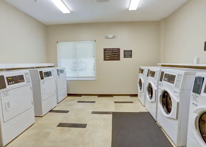 Safety Harbor Hotels