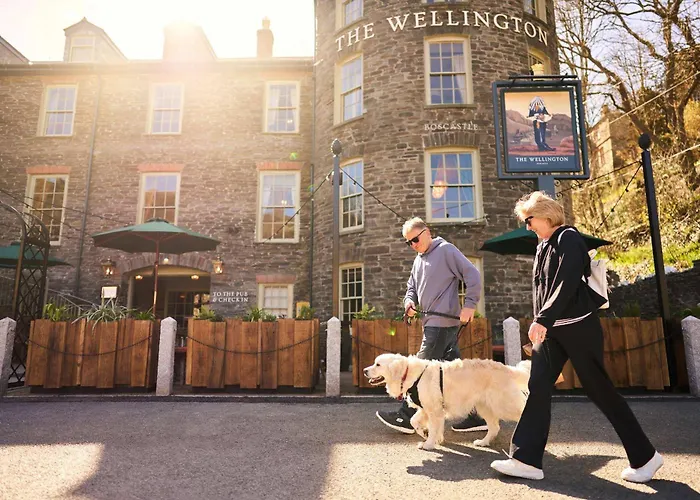 Boscastle Hotels