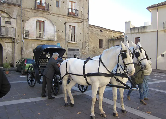 Hotels in Altomonte