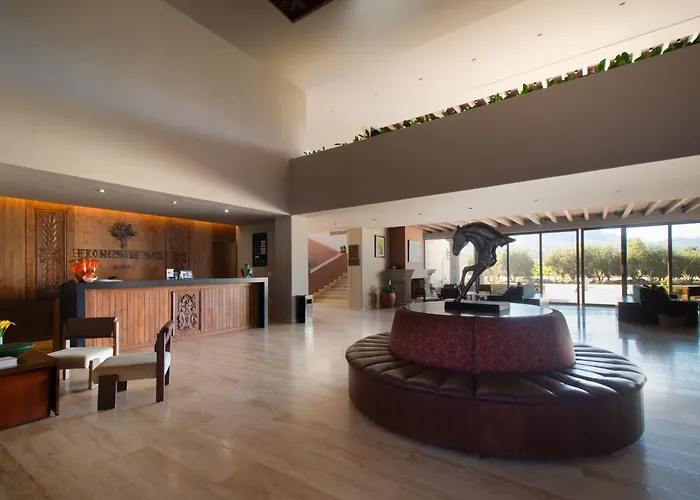 Valle de Guadalupe Hotels With Jacuzzi in Room