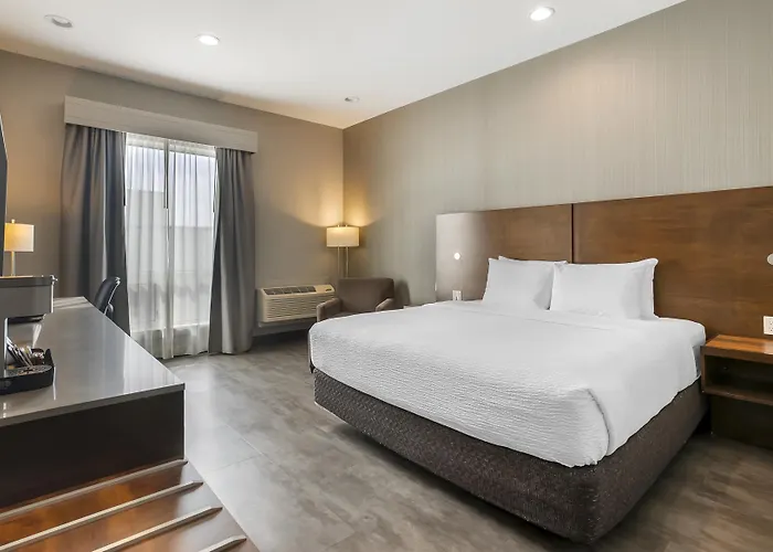 Saskatoon Hotels With Jacuzzi in Room