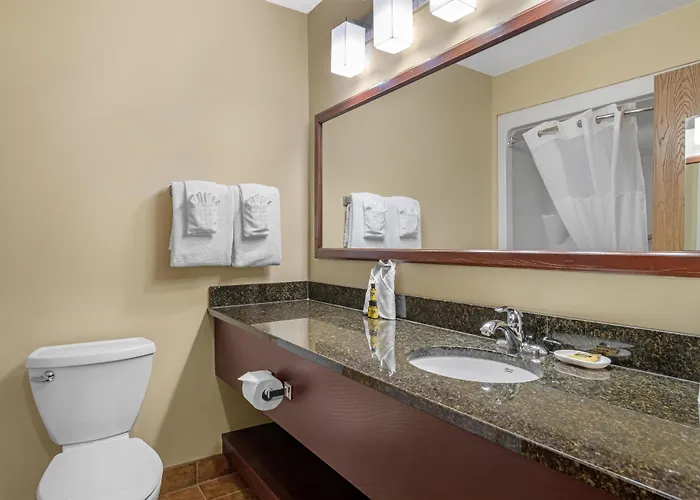 Best Western Plus Fredericton Hotel & Suites