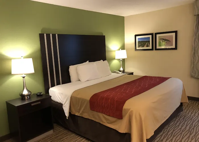 Clinton Hotels