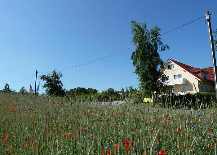 Hotels in Rechlin