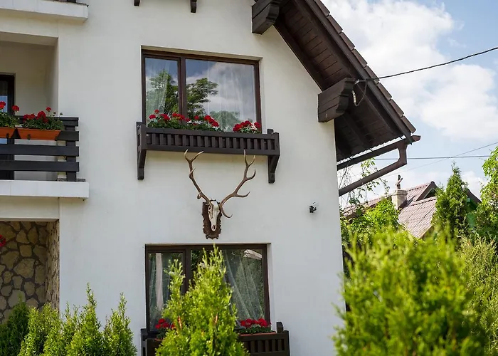 Bran (Brasov) Hotels