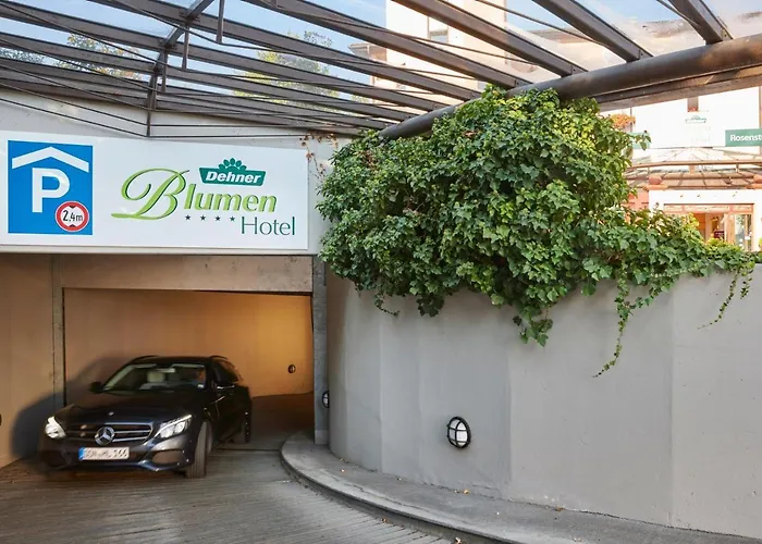 Rain (Swabia) Hotels