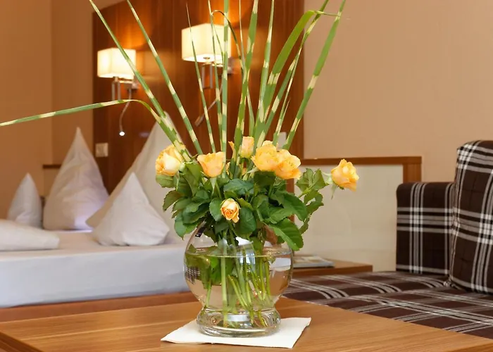 Hotels in Obernzell